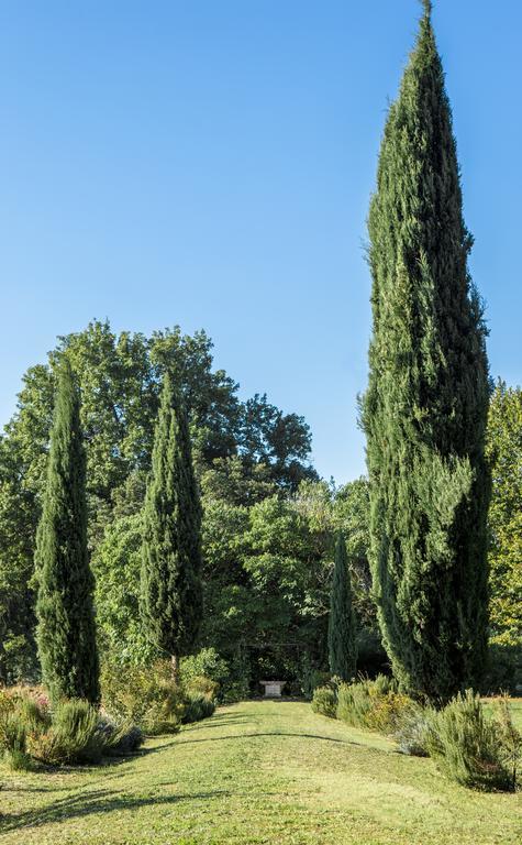 Villa Pandolfi Elmi Spello Dış mekan fotoğraf